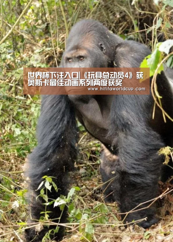 世界杯下注入口|《玩具总动员4》获奥斯卡最佳动画系列两度获奖